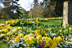 France Rennes Park