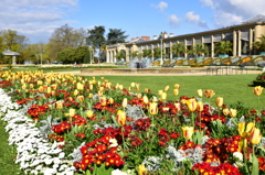 France Rennes Park 春