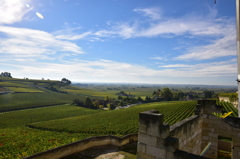 サン・テミリオン（Saint-Émilion）2