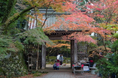 秋のお寺はこんなふう。