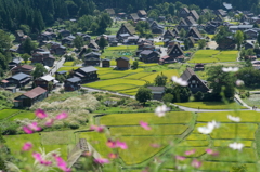 やっぱりいい。