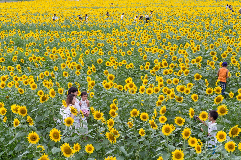夏・・。