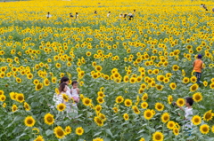 夏・・。