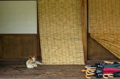まったりちゅぅ～。