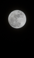 クリスマスの満月。