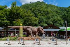 夏の思い出。