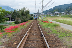 秋の風景。