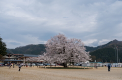 また今年も。