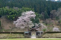 朝倉氏遺跡。