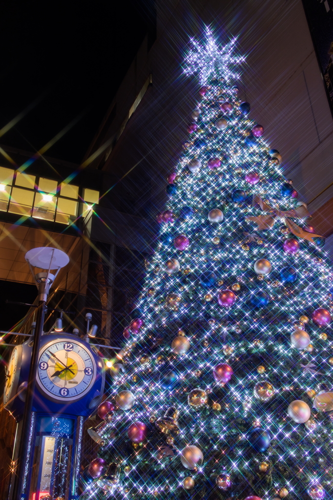 フクイイルミ。