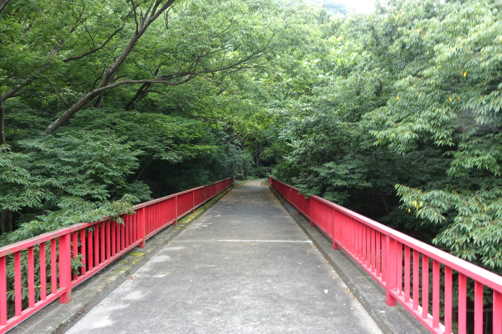 緑と赤のコントラスト