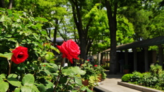 見つめる先には