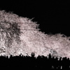 夜桜シルエット