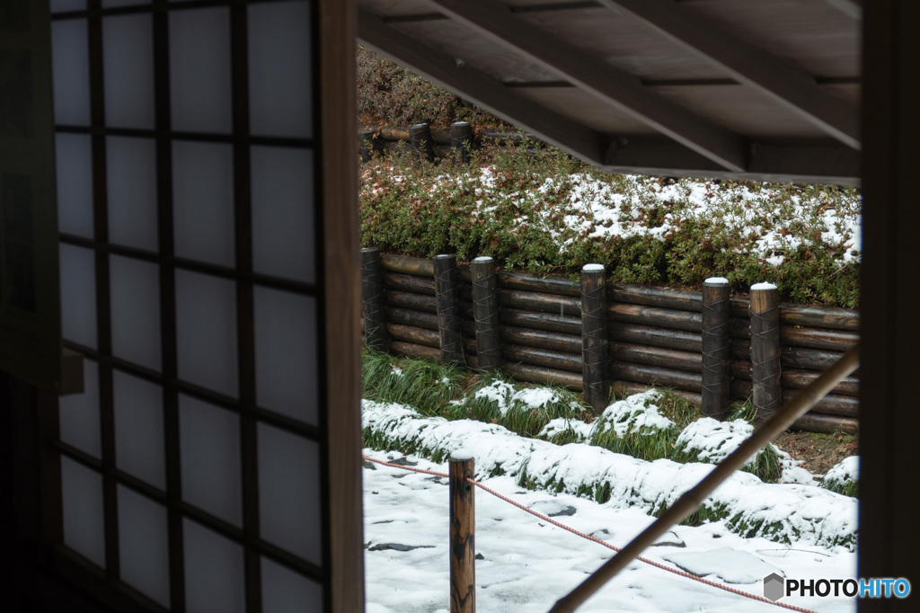 覗く雪