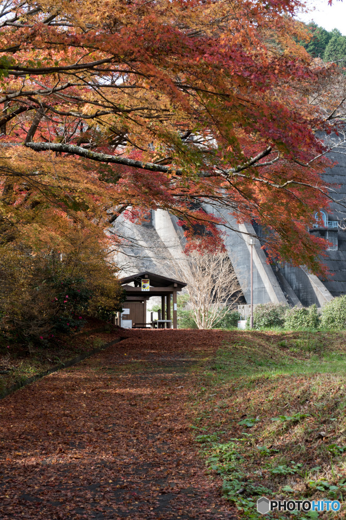 ダム公園