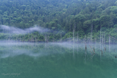 朝靄の自然湖2