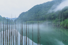 朝靄の自然湖４