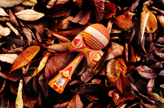 Fallen leaves in kendama