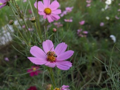 IMG_20191005_154815