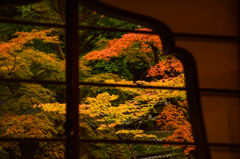 永源寺紅葉2015 2