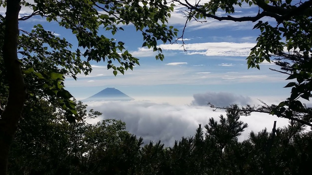 緑のフレームの中の富士山