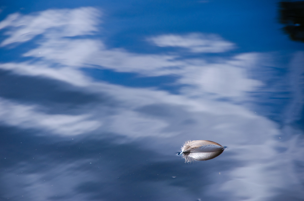 空に浮かぶ