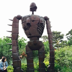 Raputa