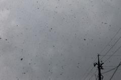 雪が舞い落ちるⅡ