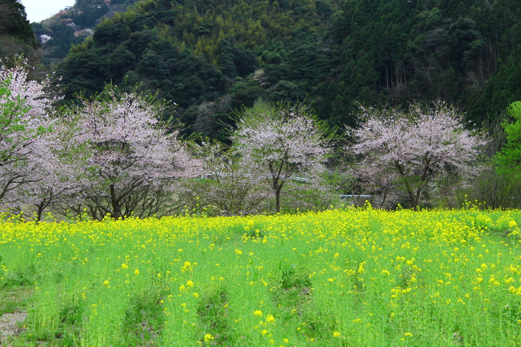 静寂