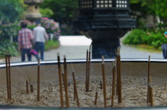 寄り添って