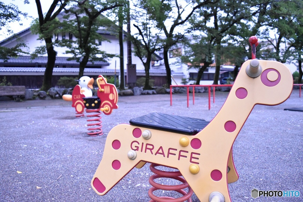 giraffe