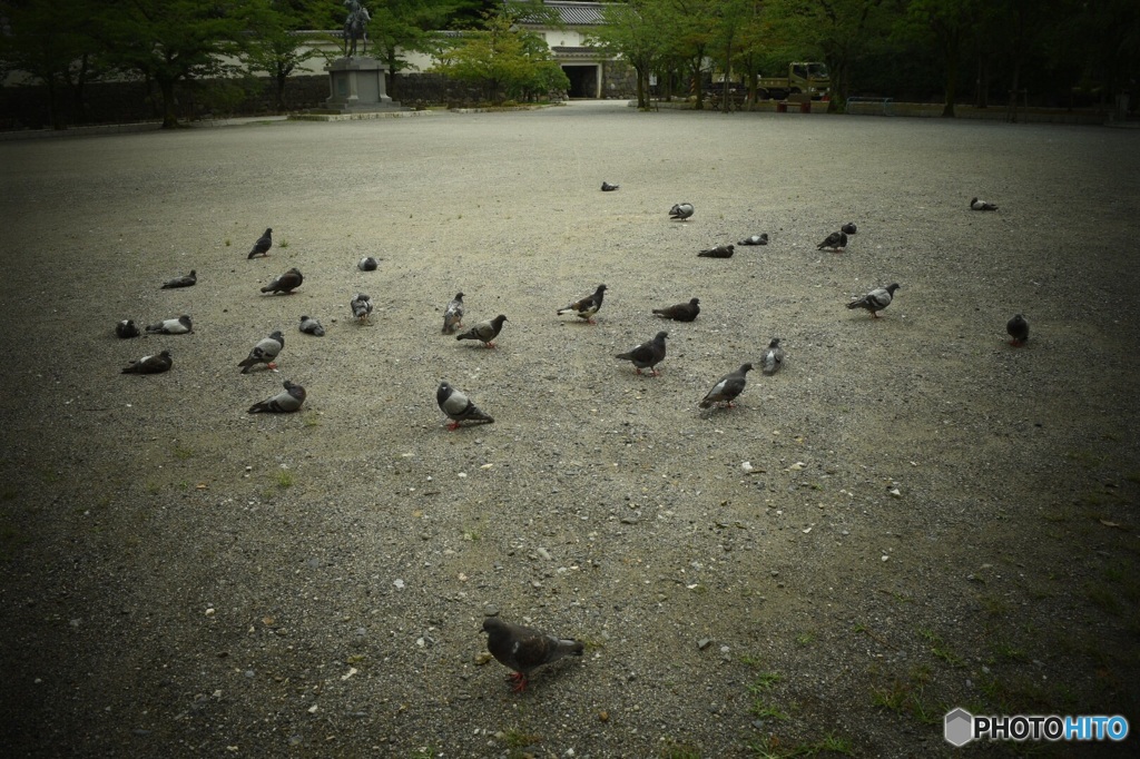 ぽっぽっぽっ