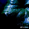 雨