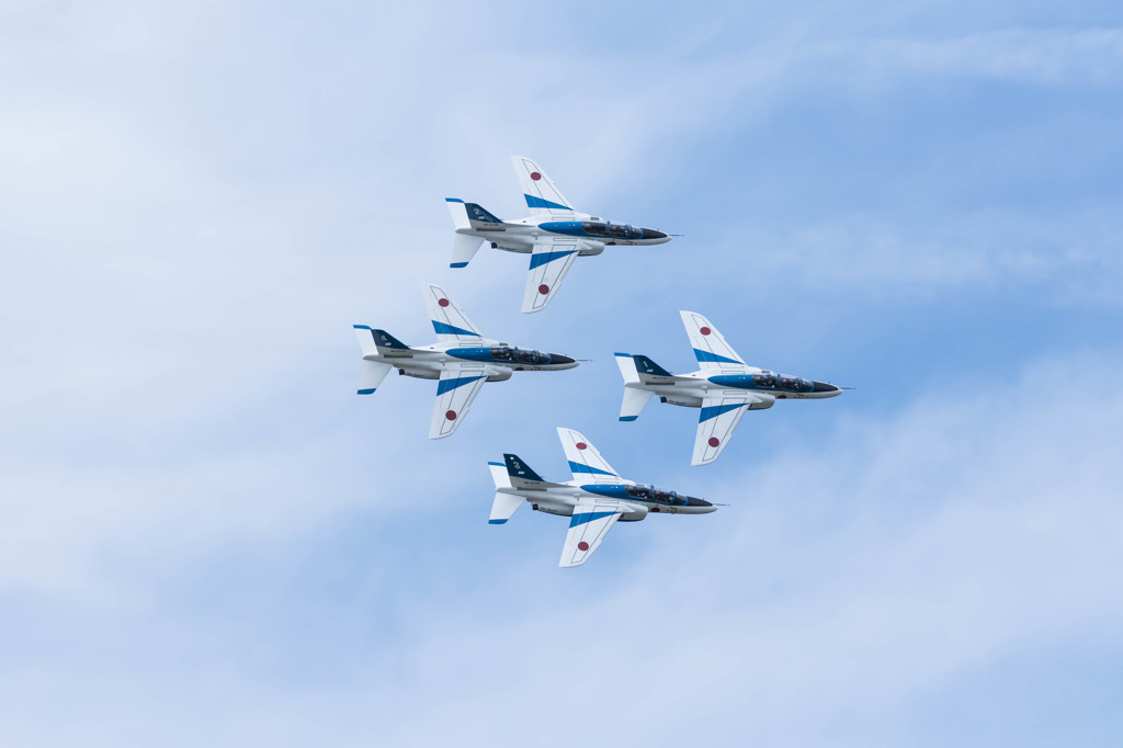 空飛ぶイルカ