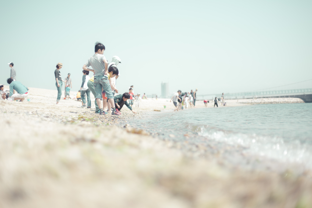 海