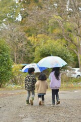 雨の日の散歩