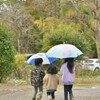 雨の日の散歩