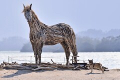 海辺のシンクロ