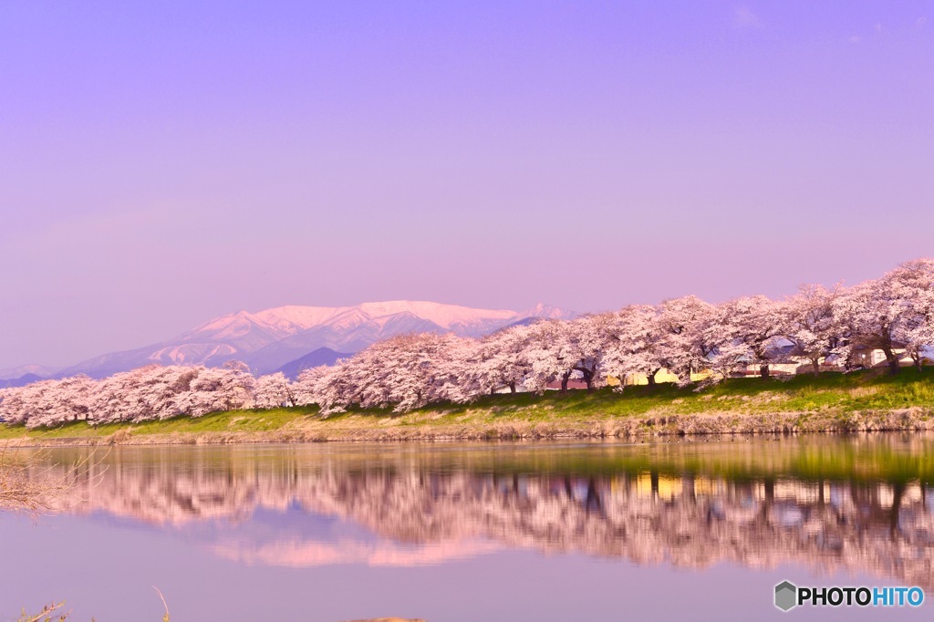 蔵王連峰と一目千本桜と白石川