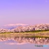 蔵王連峰と一目千本桜と白石川