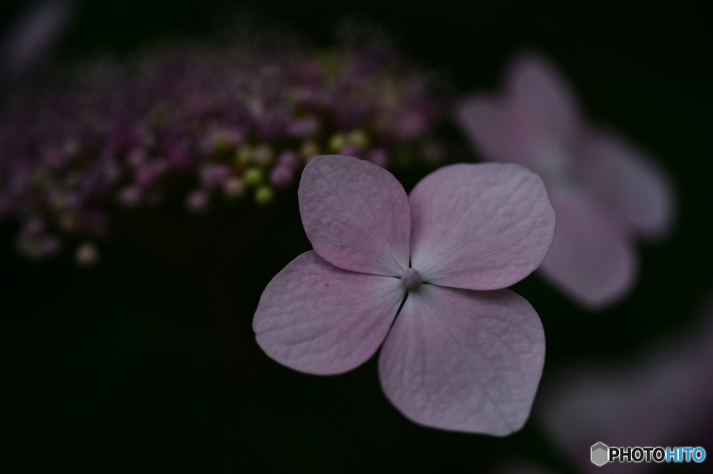 I MG_1007