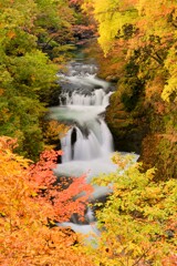 秋の鳳鳴四十八滝