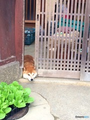 ひま〜(*_*)誰か遊んでー