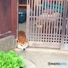 ひま〜(*_*)誰か遊んでー