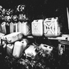 monochrome snap