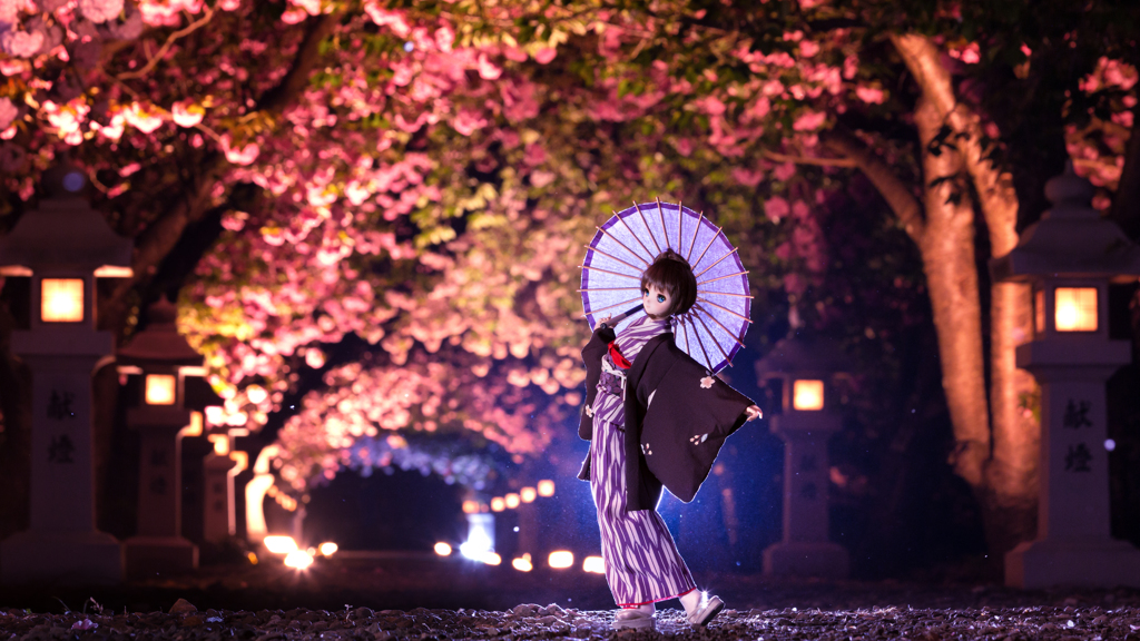 艶やかに夜を舞う