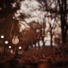 晩秋の街路樹