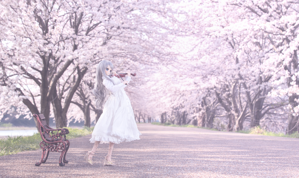 桜のハーモニー
