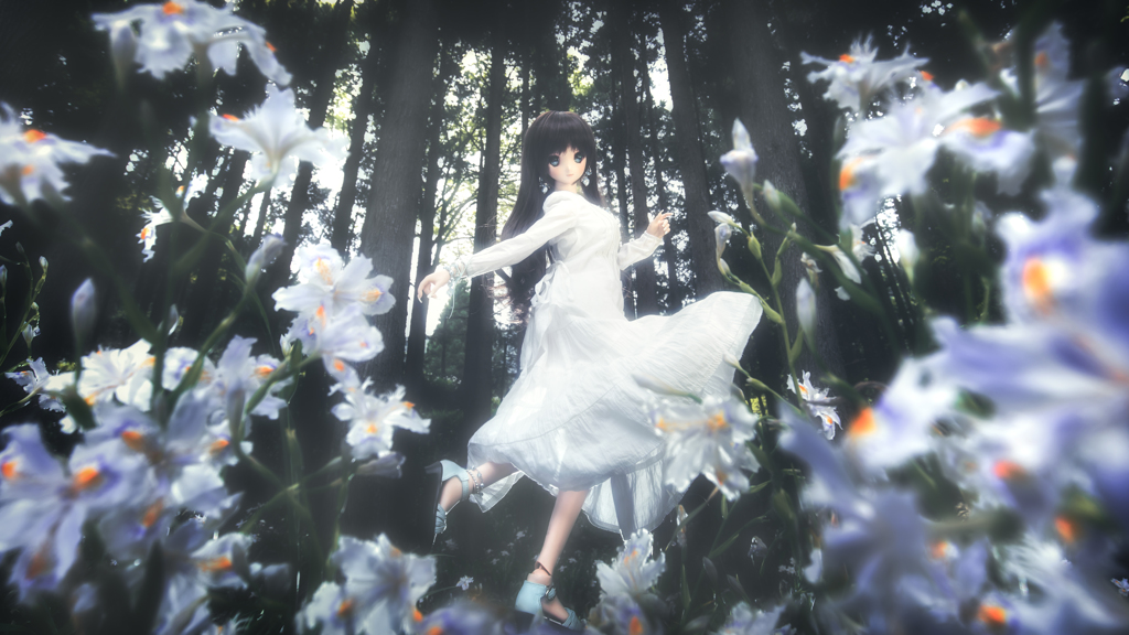 Wonderforest