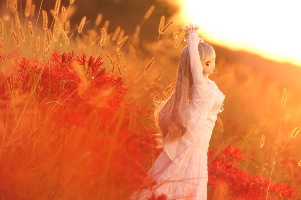 彼岸花のある風景